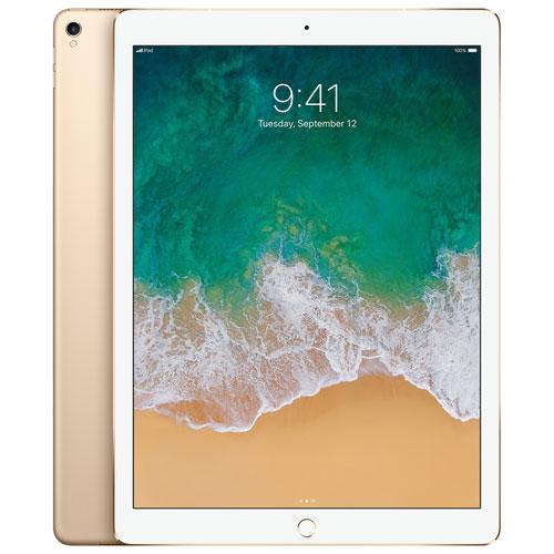 Apple iPad Air Wi-Fi 256GB MUUT2HNA Gold showroom in chennai, velachery, anna nagar, tamilnadu