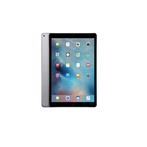 Apple ipad Mini 256GB Grey MUXC2HNA showroom in chennai, velachery, anna nagar, tamilnadu